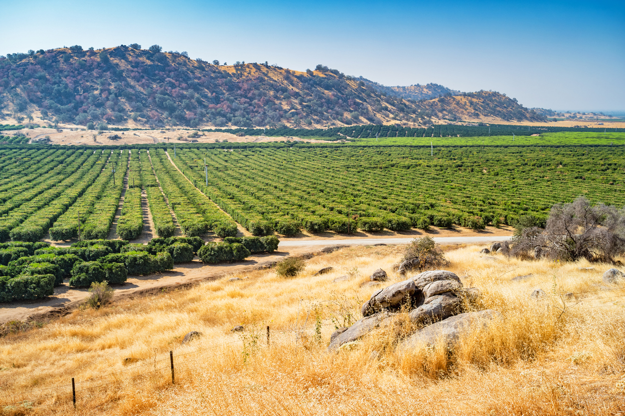 Panoramic Image of Bakersfield, California